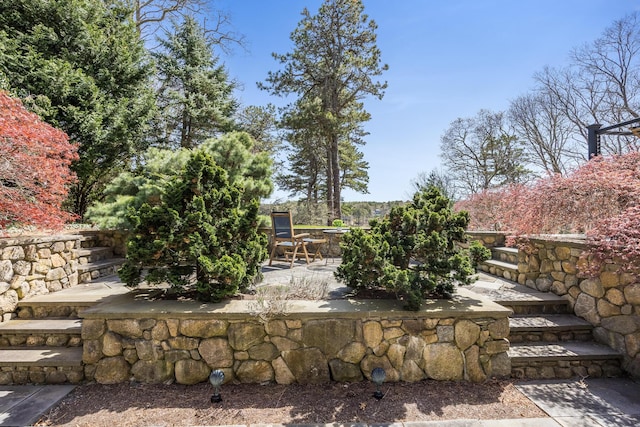 view of yard with a patio area