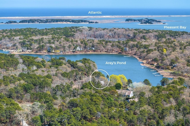 aerial overview of property's location featuring a large body of water and a forest