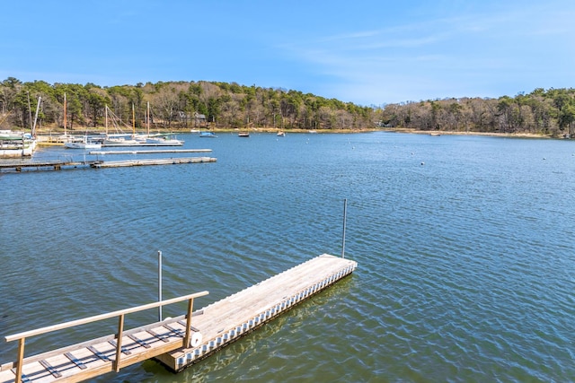 dock area with a water view and a view of trees