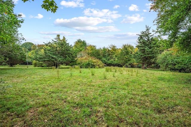 view of yard featuring a rural view