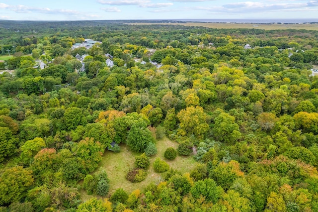 aerial view