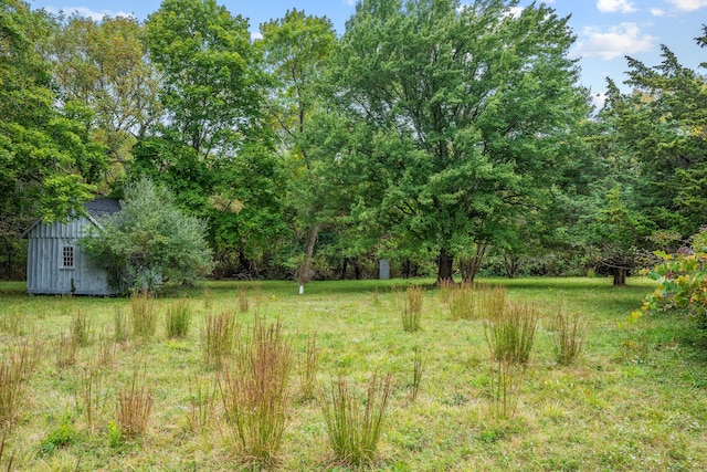 view of yard featuring a storage shed