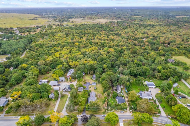 bird's eye view