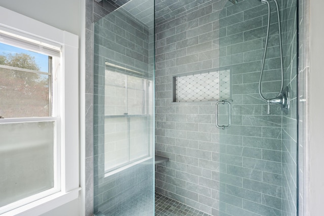 bathroom with a shower with shower door