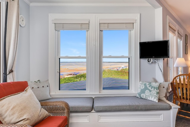 living area featuring crown molding