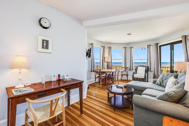 living room with a water view and light hardwood / wood-style flooring