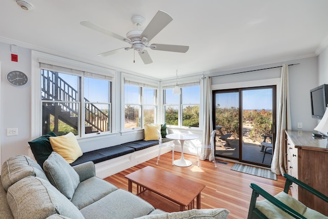 living room featuring ceiling fan, crown molding, and light wood-type flooring