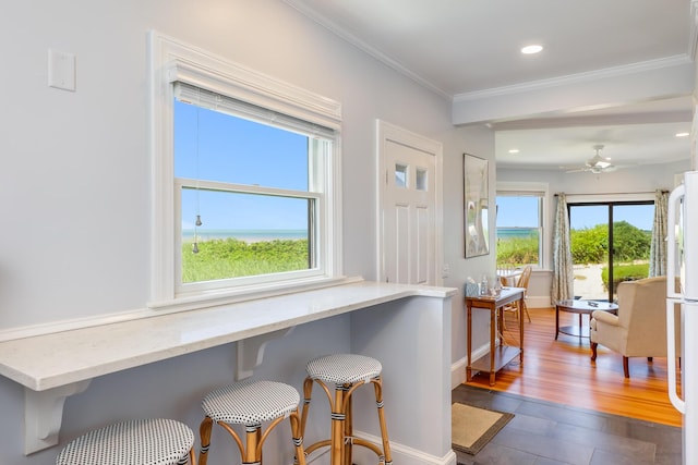 interior space featuring ceiling fan, dark hardwood / wood-style floors, and ornamental molding