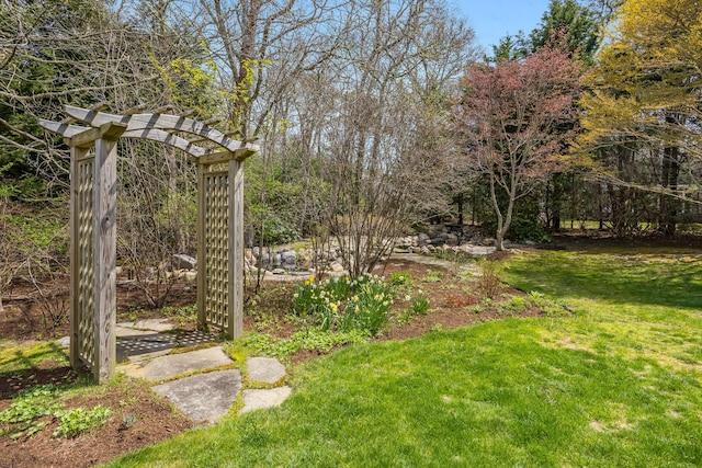 view of yard