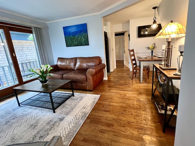 3 Winthrop St Unit U1, Provincetown, MA 02657 - living room with wood finished floors, ornamental molding, and baseboards