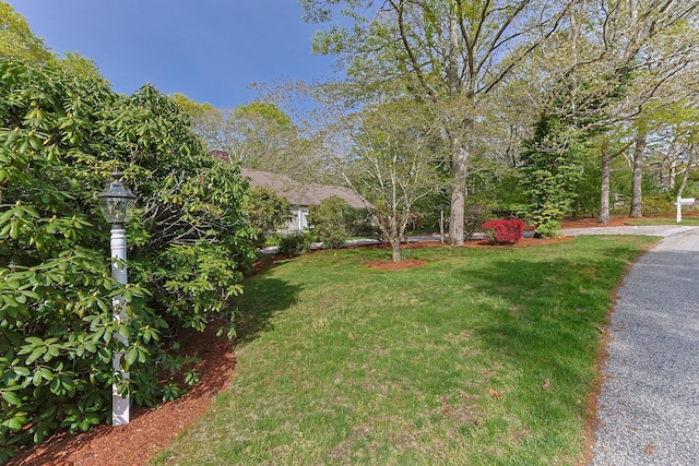 154 Cotuit Bay Dr, Cotuit, MA 02635 - view of green lawn