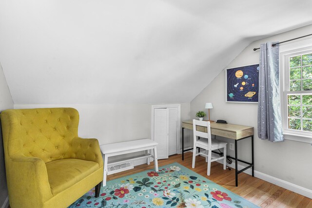 13 Old Fields Rd, Sandwich, MA 02563 - home office with wood finished floors and lofted ceiling