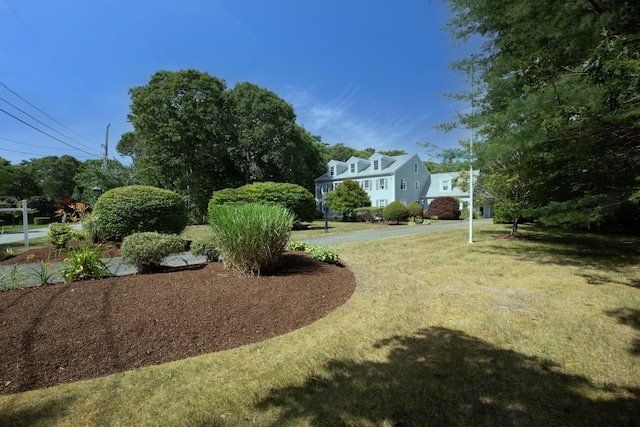 174 Little River Rd, Cotuit, MA 02635 - view of grassy yard