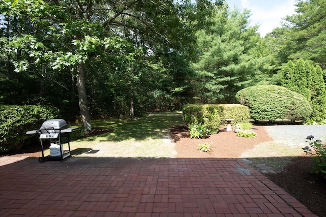 174 Little River Rd, Cotuit, MA 02635 - view of patio / terrace with a grill