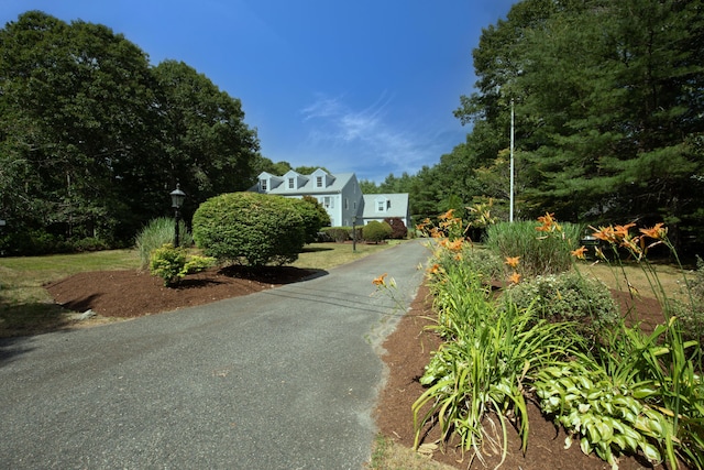 174 Little River Rd, Cotuit, MA 02635 - view of asphalt driveway