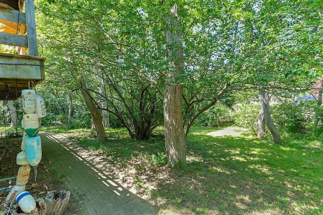 10 Bradford Ln, Eastham, MA 02642 - view of grassy yard