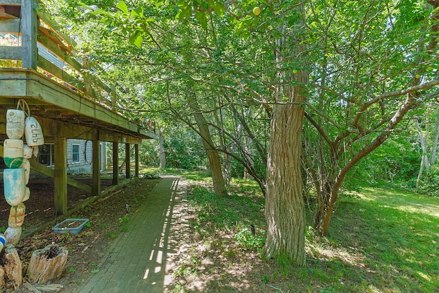 10 Bradford Ln, Eastham, MA 02642 - view of yard