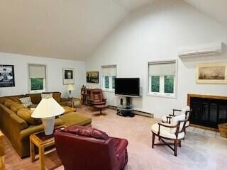 carpeted living room featuring vaulted ceiling and a baseboard heating unit