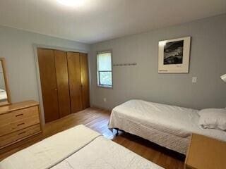 bedroom featuring wood-type flooring and a closet