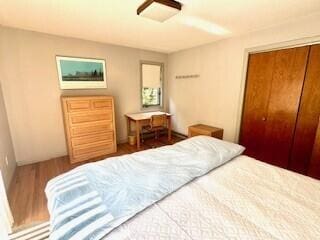 bedroom with a closet and wood-type flooring