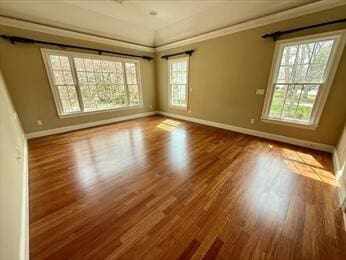 53 White Cliff Dr, Cedarville, MA 02360 - spare room featuring baseboards and wood finished floors