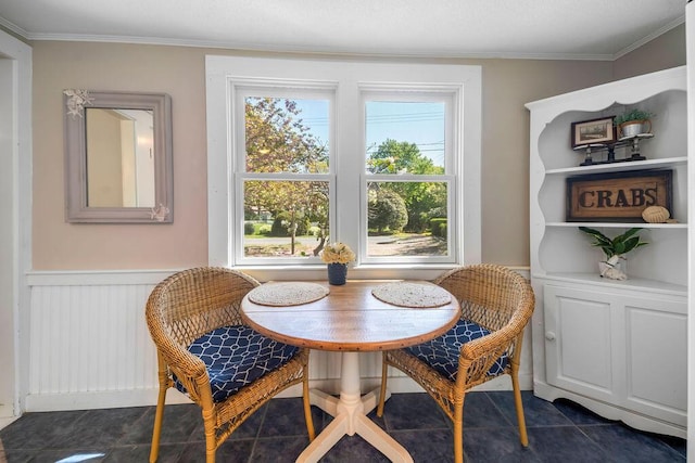 dining room featuring healthy amount of natural light, wainscoting, ornamental molding, and dark tile patterned floors