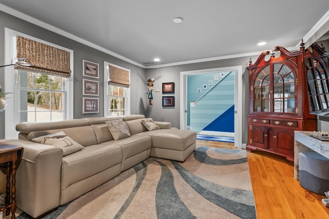 living room featuring crown molding and hardwood / wood-style floors