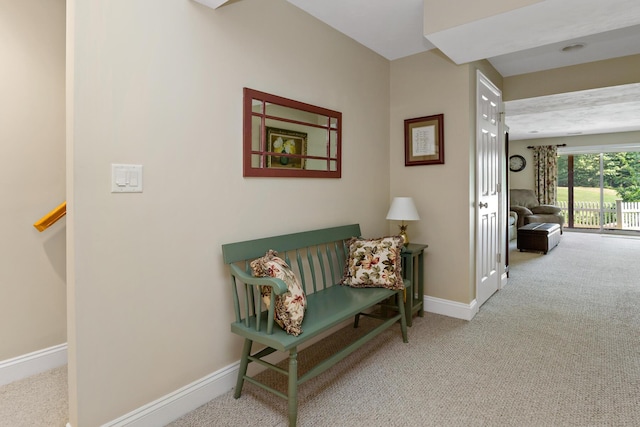 9 Sea Knoll Ct, Bourne, MA 02532 - corridor featuring carpet flooring and baseboards