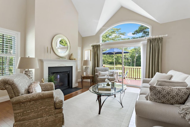 9 Sea Knoll Ct, Bourne, MA 02532 - living room featuring high vaulted ceiling, a fireplace with flush hearth, and wood finished floors