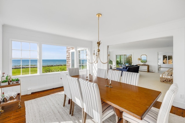 dining area with a baseboard radiator, a healthy amount of sunlight, and wood finished floors