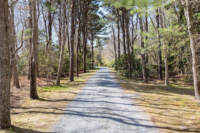 view of road