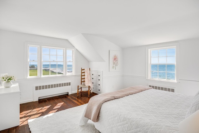bedroom with hardwood / wood-style flooring, radiator, and multiple windows