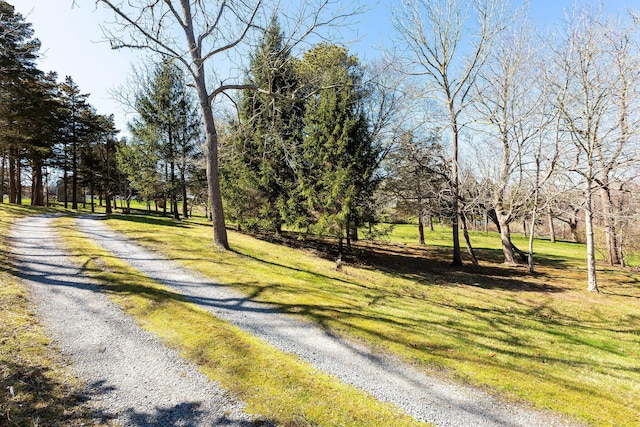3 Bramblewood Ln, Orleans, MA 02653 - view of street