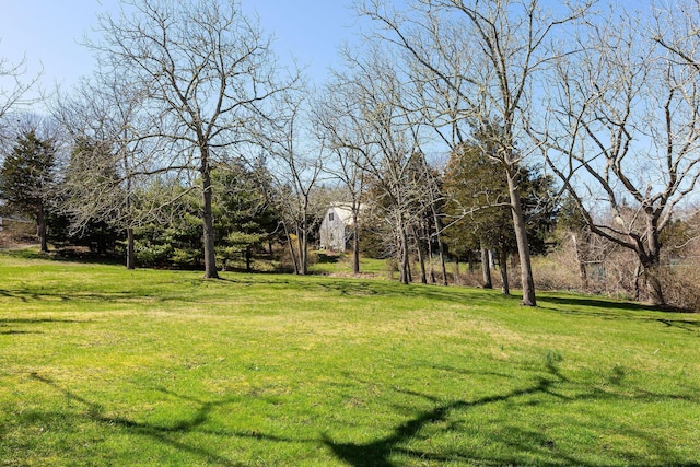 3 Bramblewood Ln, Orleans, MA 02653 - view of yard