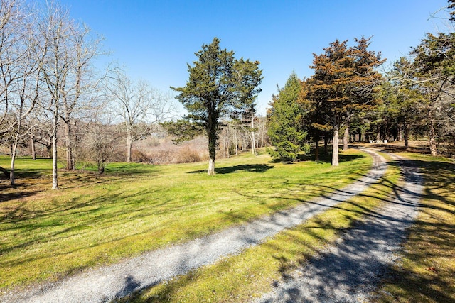 3 Bramblewood Ln, Orleans, MA 02653 - view of community featuring a yard