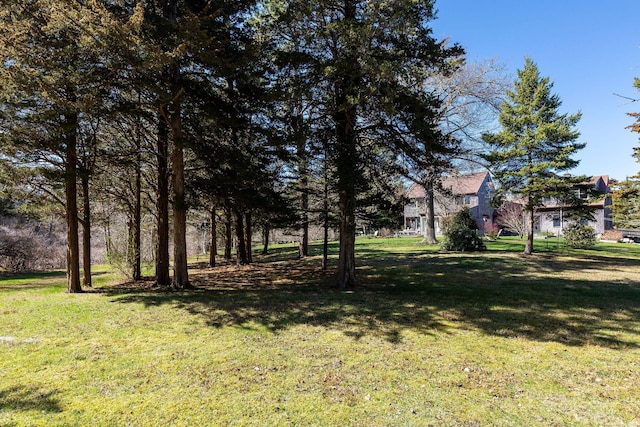 3 Bramblewood Ln, Orleans, MA 02653 - view of yard