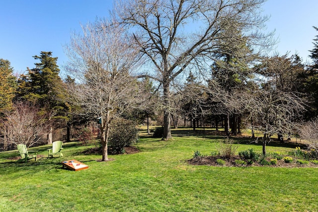 3 Bramblewood Ln, Orleans, MA 02653 - view of yard
