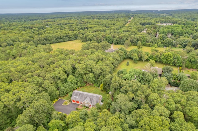 771 Sandwich Rd, East Falmouth, MA 02536 - photo 19