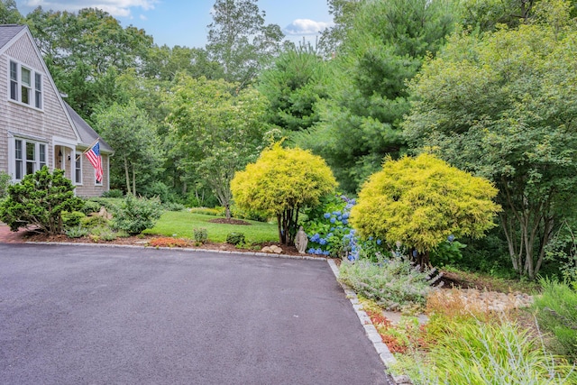 771 Sandwich Rd, East Falmouth, MA 02536 - photo 16
