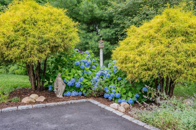 771 Sandwich Rd, East Falmouth, MA 02536 - photo 15