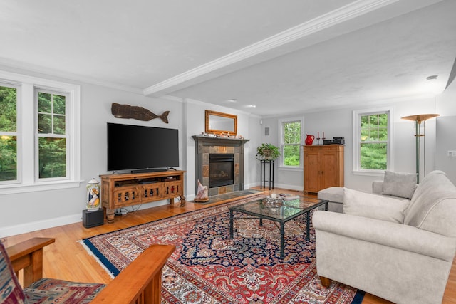 771 Sandwich Rd, East Falmouth, MA 02536 - photo 29