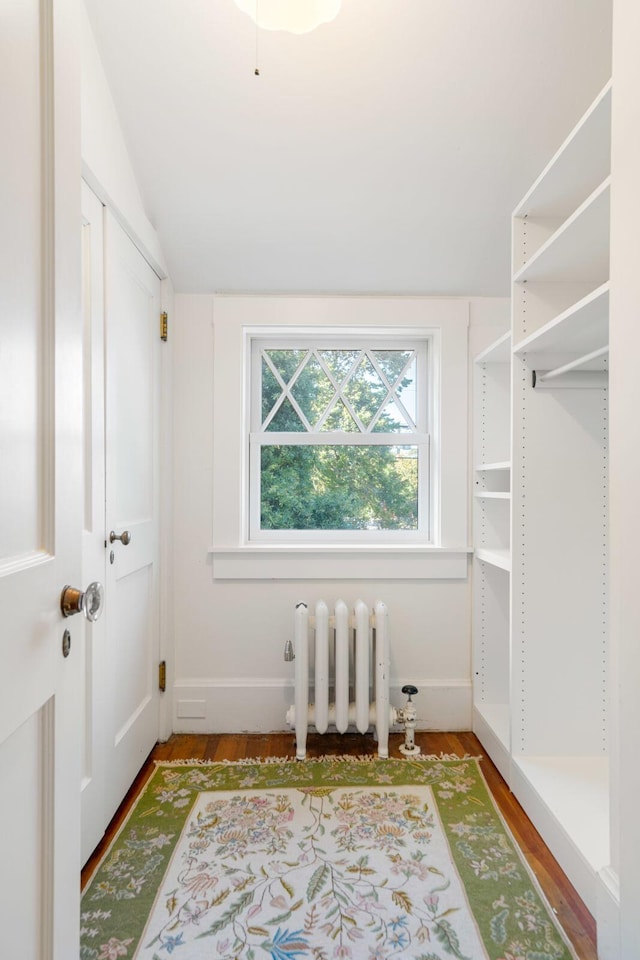 spacious closet with vaulted ceiling, radiator heating unit, and hardwood / wood-style flooring