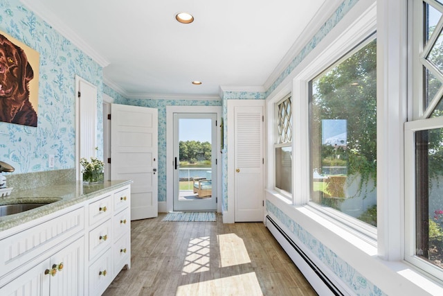 doorway to outside featuring sink, a healthy amount of sunlight, light hardwood / wood-style floors, and ornamental molding