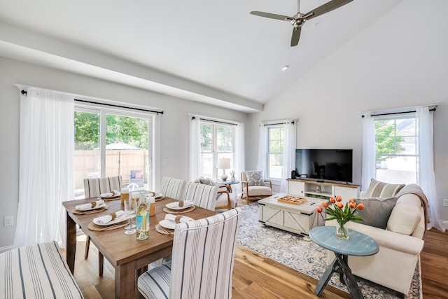 dining room with ceiling fan, high vaulted ceiling, and light hardwood / wood-style floors