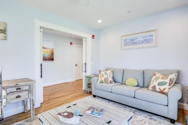 living room featuring hardwood / wood-style flooring