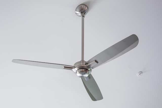 details featuring ceiling fan