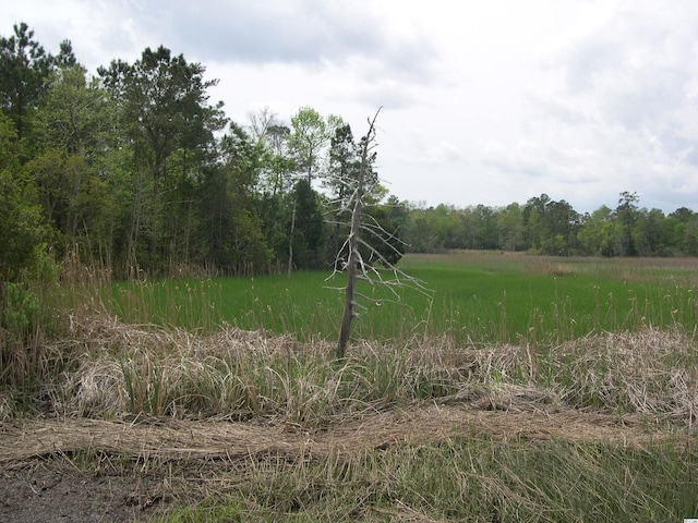 Listing photo 2 for LOT1050 Kilsock Dr, Georgetown SC 29440