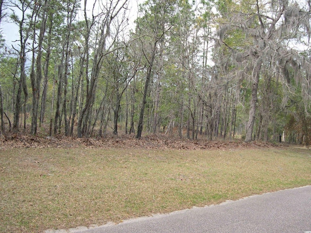 Listing photo 2 for 73 Pineberry Dr, Georgetown SC 29440