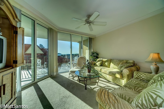 carpeted living room with ceiling fan, a wealth of natural light, a wall of windows, and ornamental molding