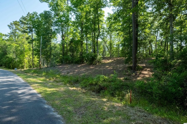 Listing photo 3 for TBD Francis Marion Dr, Georgetown SC 29440